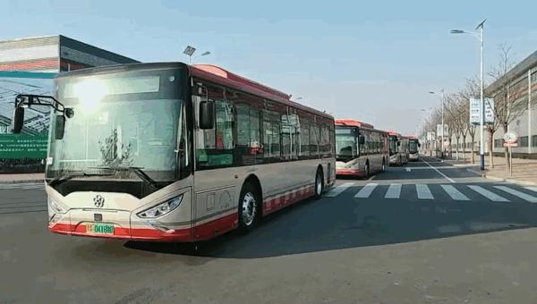 天津的独特魅力与风情